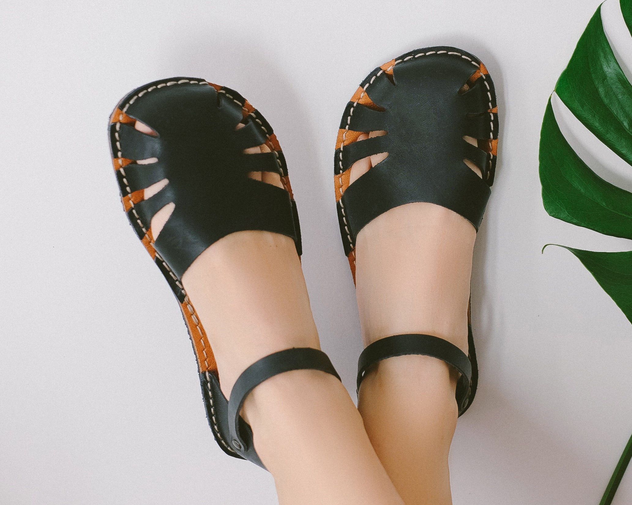 Monstera - Nero – Crupon